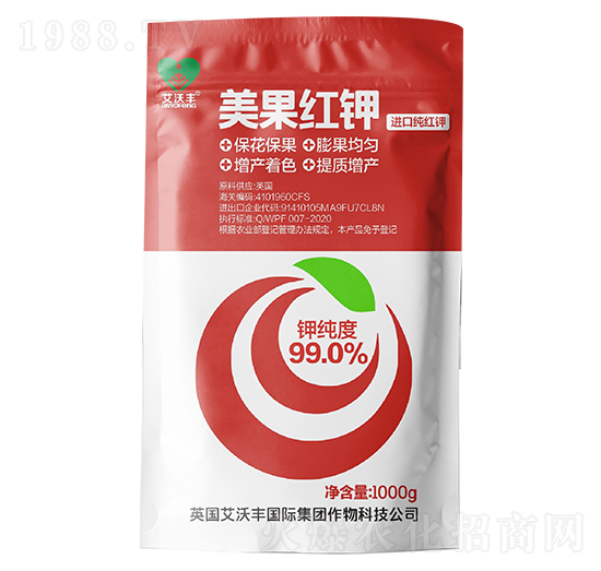 �����t�-�����S