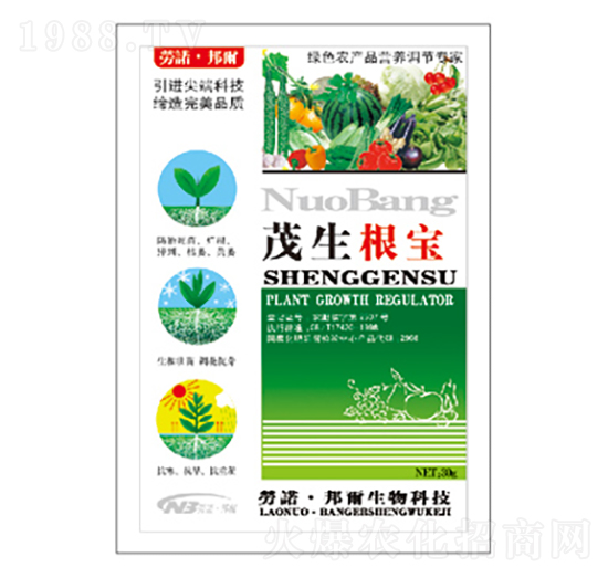 茂生根寶-康普生