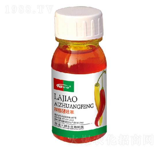 辣椒矮壯豐-康普生