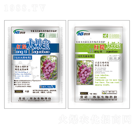 紅提大果寶-康普生