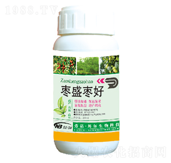 ��ʢ����-������