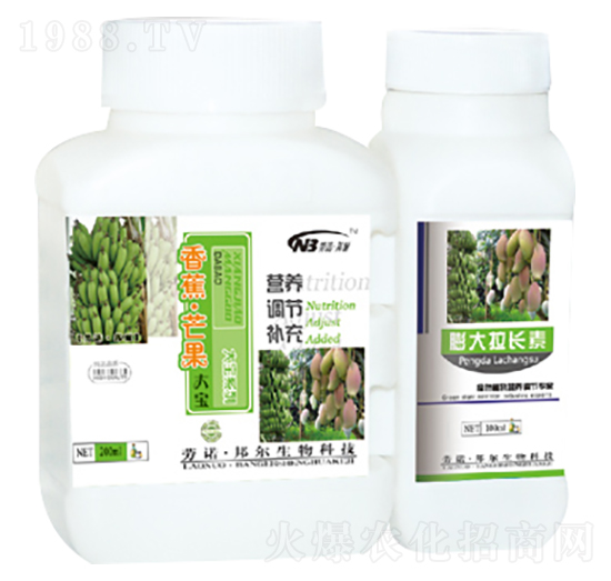 �㽶��â����+������L(zh��ng)��-������