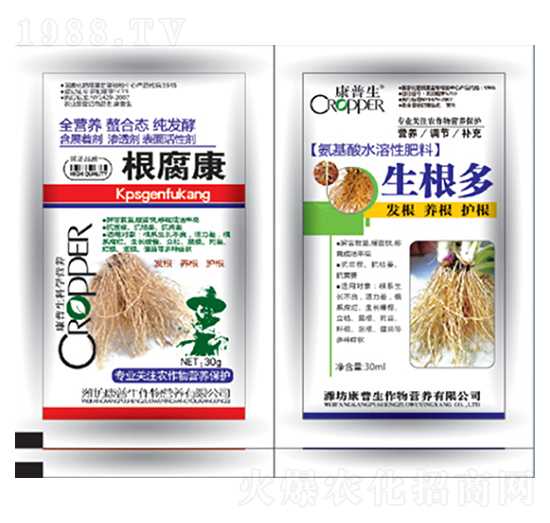 根腐康+生根多-康普生