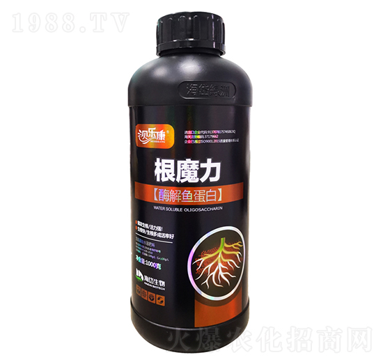 酶解魚蛋白-根魔力-海岱綠洲