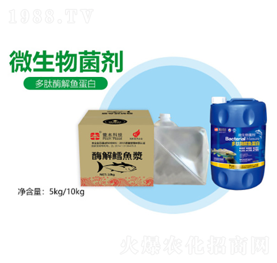 多肽酶解魚蛋白-豐本生物