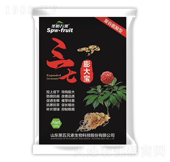 �������-ʥ���f��-����Ԫ��