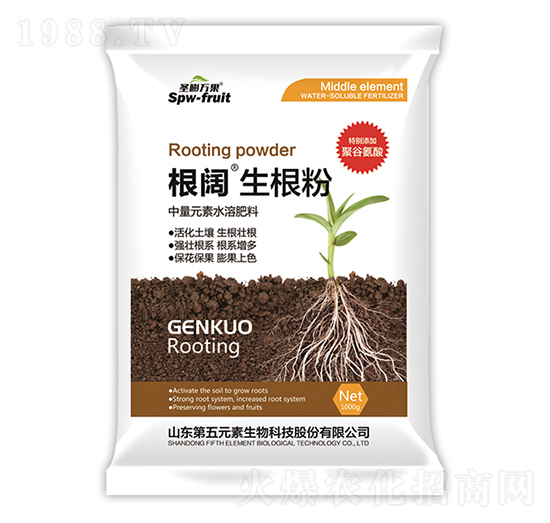 ���������-ʥ���f��-����Ԫ��