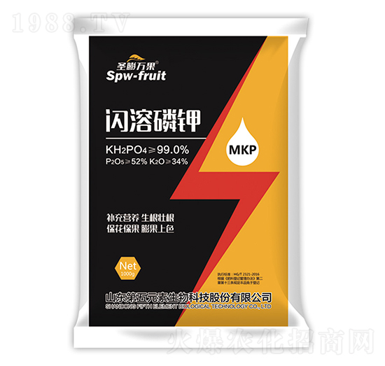 �W�����-ʥ���f��-����Ԫ��