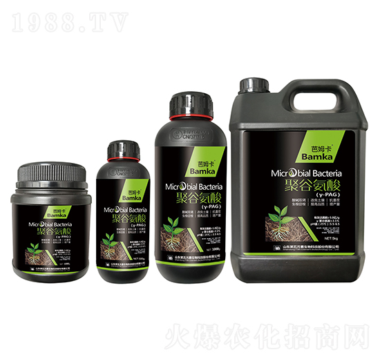 聚谷氨酸（y-PAG）-芭姆卡-第五元素