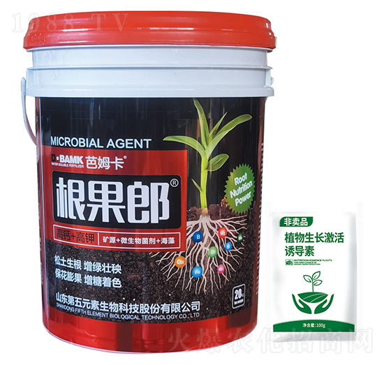 根果郎-芭姆卡-第五元素