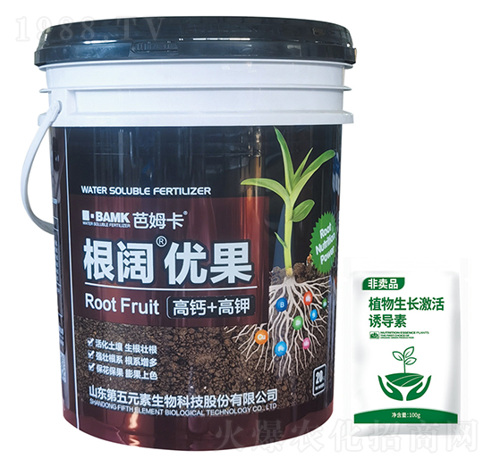 根闊優(yōu)果-芭姆卡-第五元素