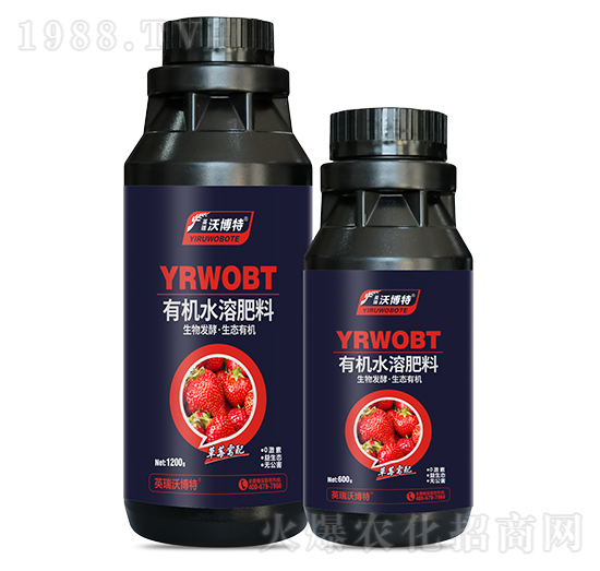 草莓需配有機(jī)水溶肥料-英瑞沃博特