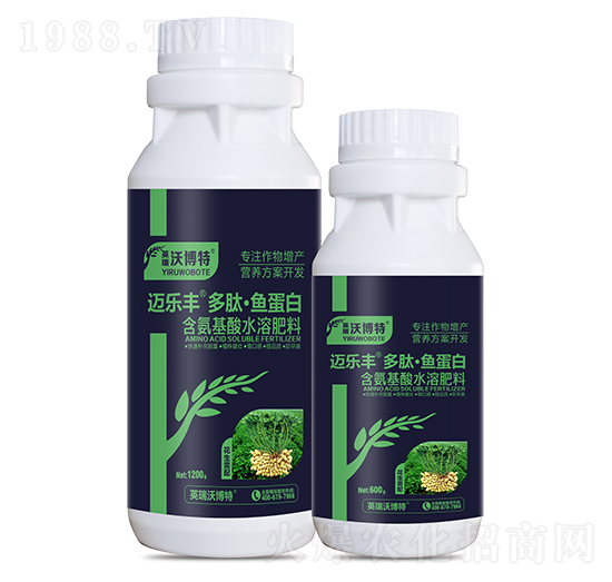 ����������ġ��~����-�~���S-Ӣ���ֲ���