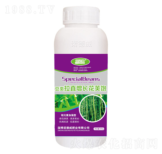 豆類拉直增長(zhǎng)花莢飽（紫）-諾德威
