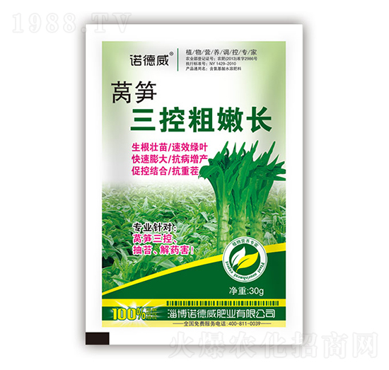 萵筍三控粗嫩長(zhǎng)-諾德威