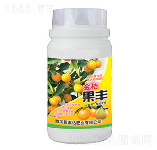 金桔果豐-百事達(dá)