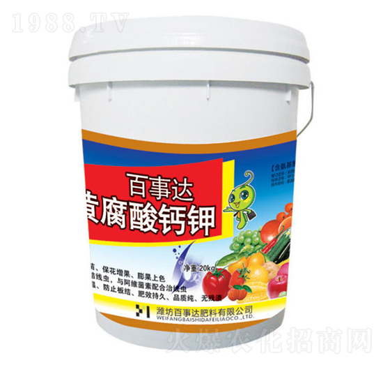 �S�����-�����_(d��)