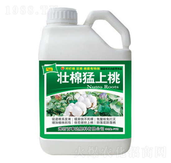 ����������-�����_