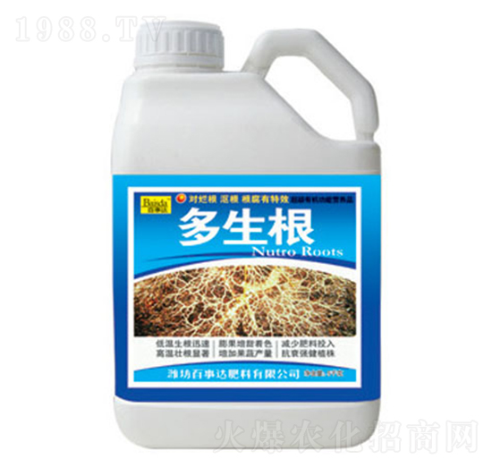 ������-�����_(d��)