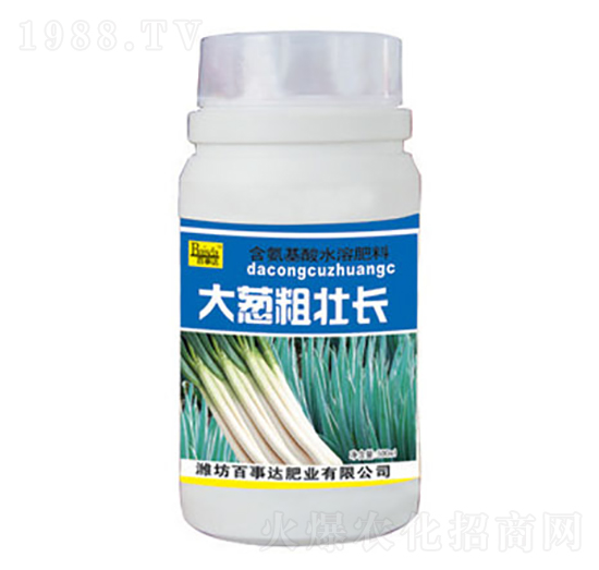 大蔥粗壯長-百事達