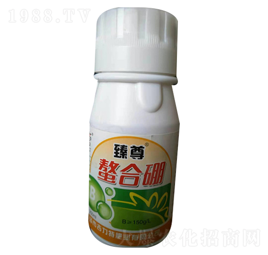 ����������-�����طʘI(y��)