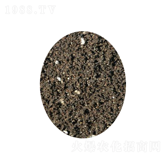 果蔬營養(yǎng)土-榮豐生物