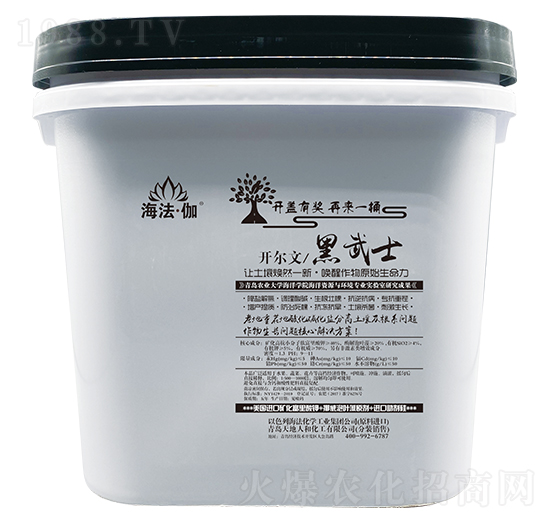 開爾文黑武士-海法·伽