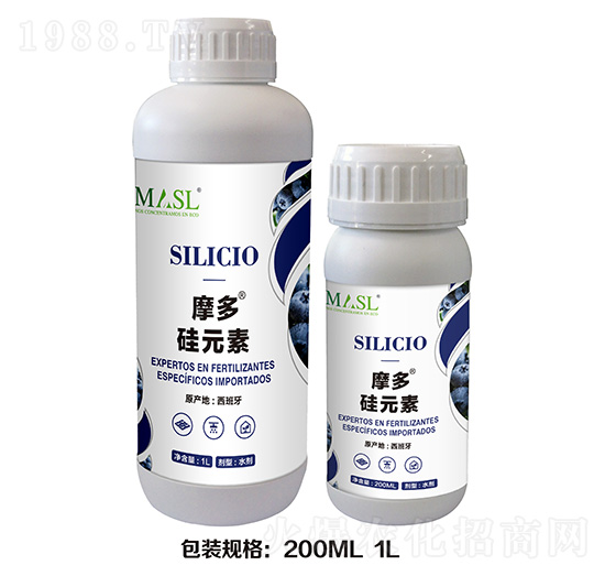 Ħ�ࡤ��-������