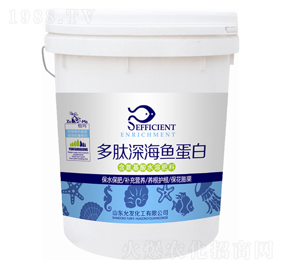 ������~����-�欔-�ʰl(f��)����