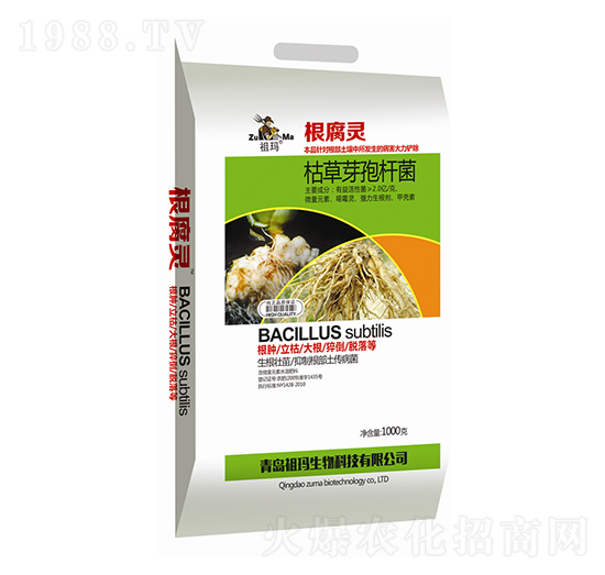 �ݲ�ѿ�ߗU��-�����`-�欔-�ʰl(f��)����