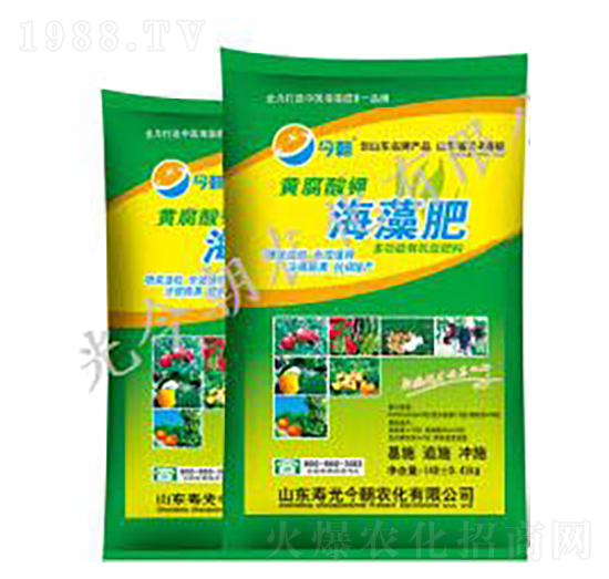 海藻肥-今朝農化