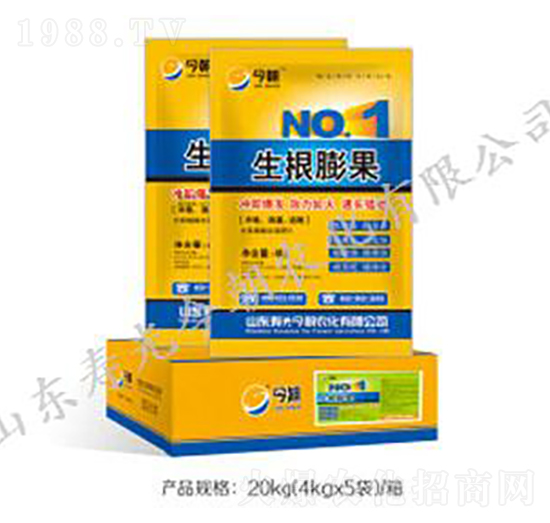 生根膨果-今朝農(nóng)化