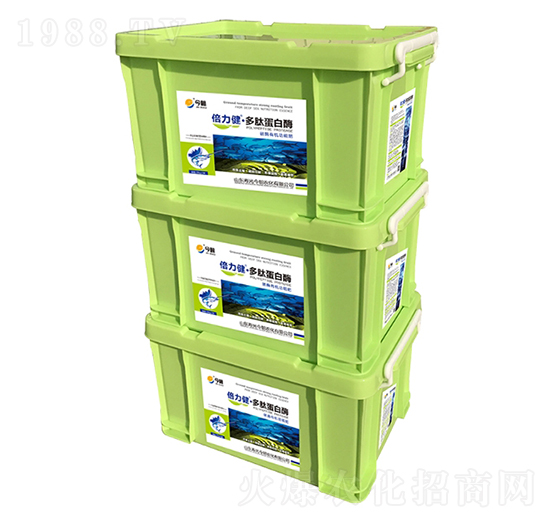 多肽蛋白酶-倍力健-今朝農(nóng)化