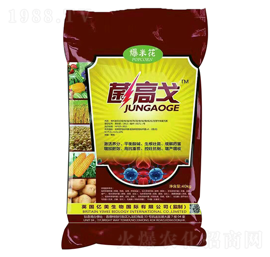 爆米花菌高戈-億美生物