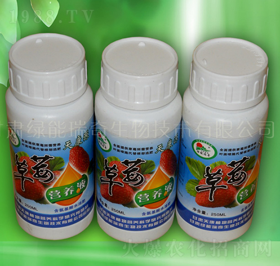 草莓營(yíng)養(yǎng)液-綠能