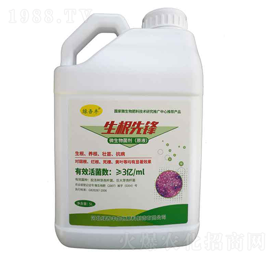 生根先鋒-綠吾豐