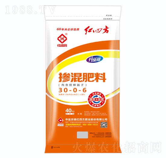 �������30-0-6-�t�ķ�