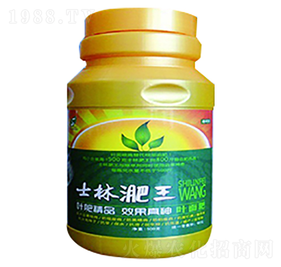 士林淝王-士林科技