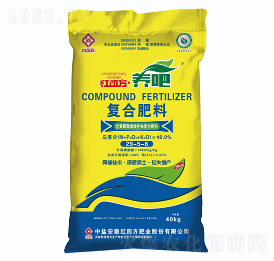 ���S������Ч��ʧ�ͺϷ���29-5-6-�B(y��ng)��-�t�ķ�