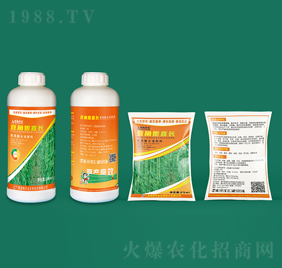 豆角嫩直長-迦姆農(nóng)業(yè)