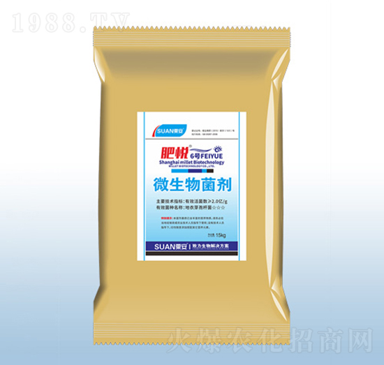 ΢�������-�ʐ�6̖(h��o)-�ڰ�