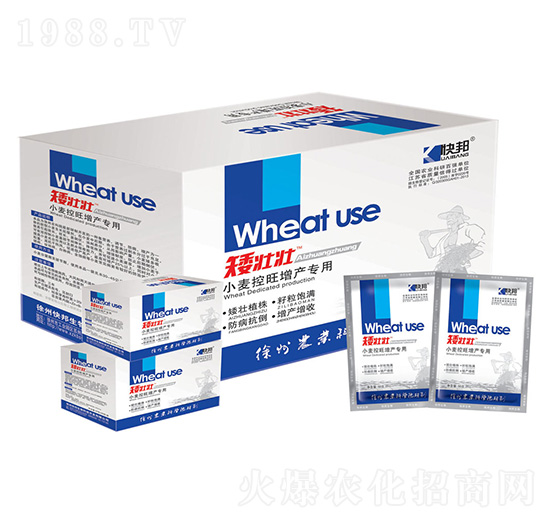 小麥控旺增產(chǎn)專(zhuān)用矮壯壯-快邦生物