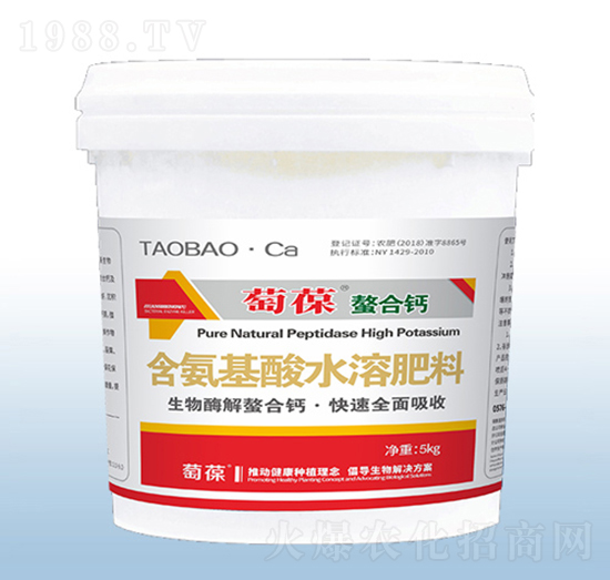 ���������}-�ڰ�