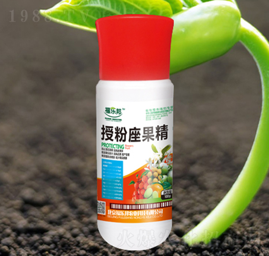 �ڷ�������-������