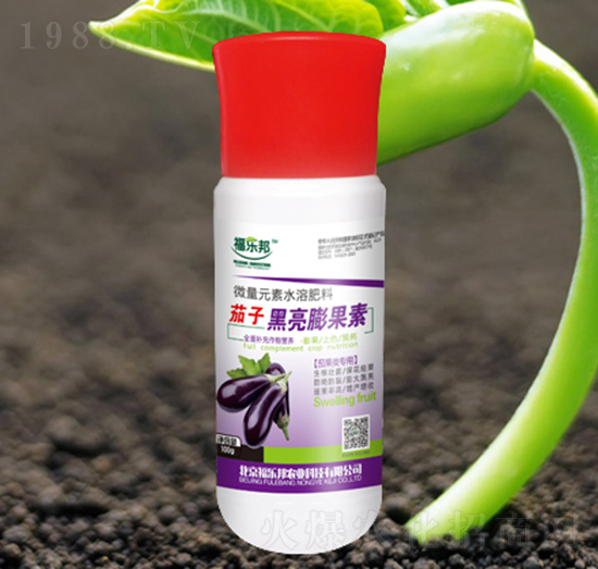 ���Ӻ��������-������