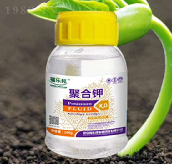 �ۺ��-������