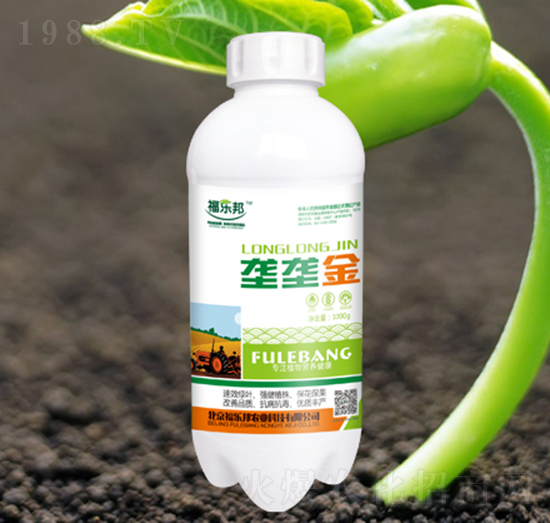 �ŉŽ�-������