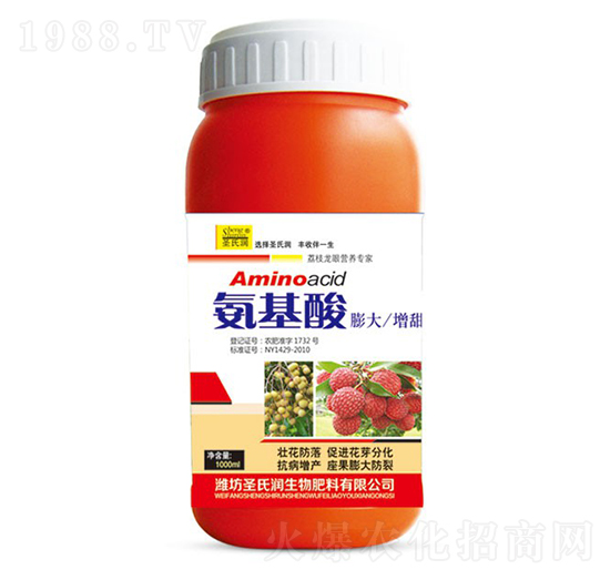 ������-ʥ�ϝ�