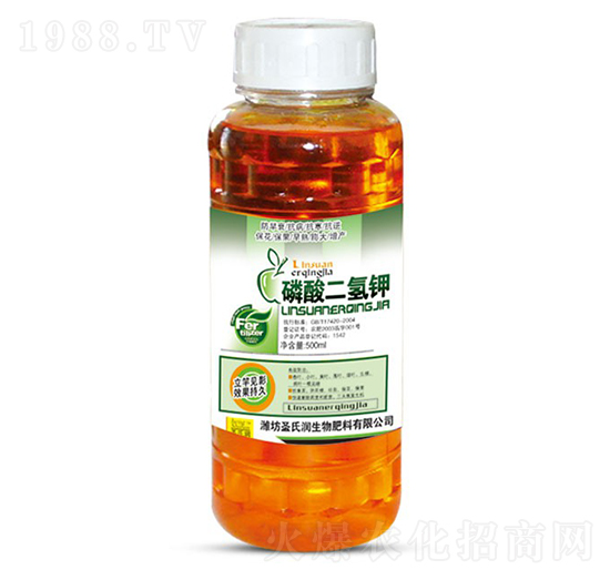 ��������-ʥ�ϝ�