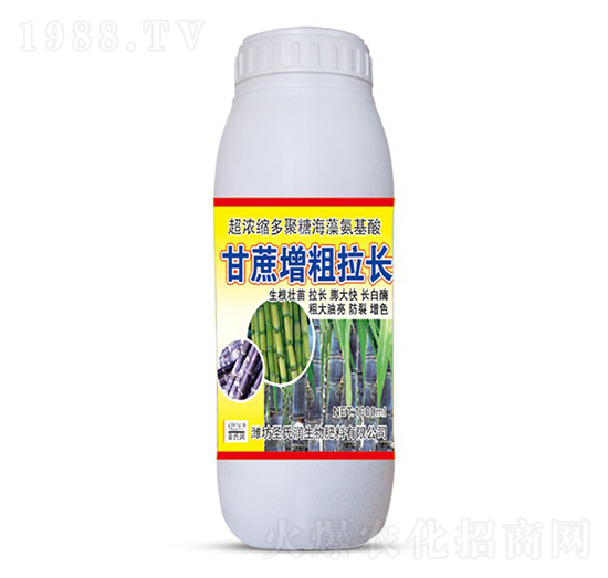 �����������L(zh��ng)-ʥ�ϝ�(r��n)